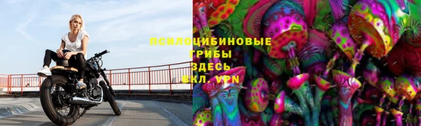 мдпв Осинники