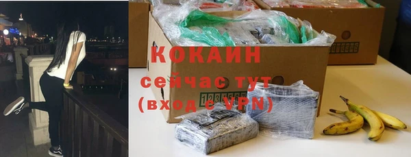 гашик Переславль-Залесский