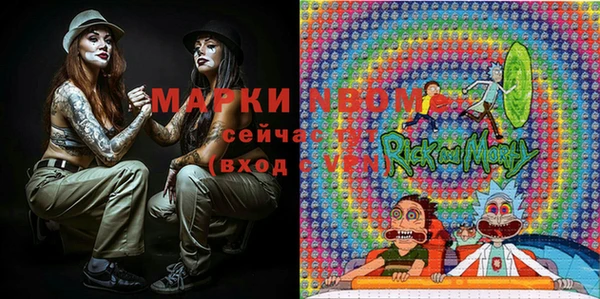 гашик Переславль-Залесский